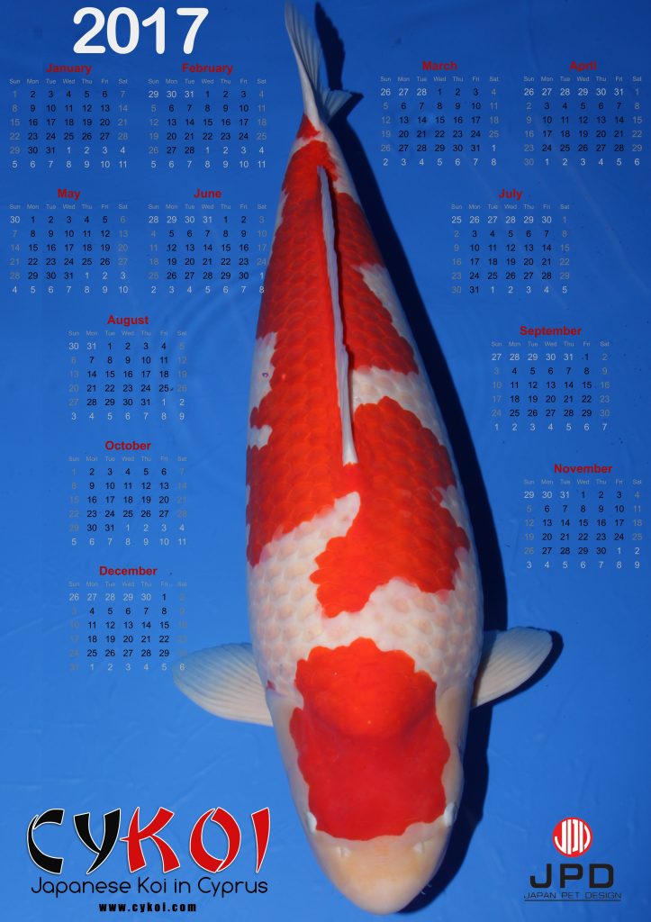 Cyprus Koi - 2017-Calendar Cyprus Koi - 2017-Calendar