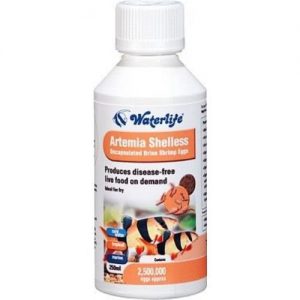 Artemia Shelless