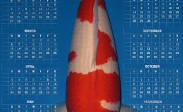 Koi Calendar 2022
