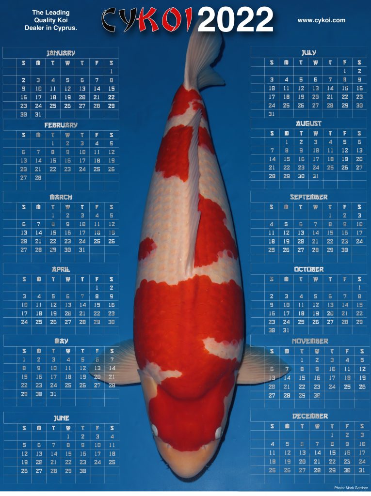 Koi Calendar 2022